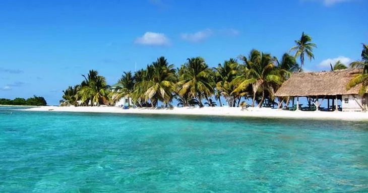 Έπαθαν σοκ! Εκαναν αμέριμνοι το μπάνιο τους, όταν ξαφνικά έσκασε δίπλα τους… (βίντεο)